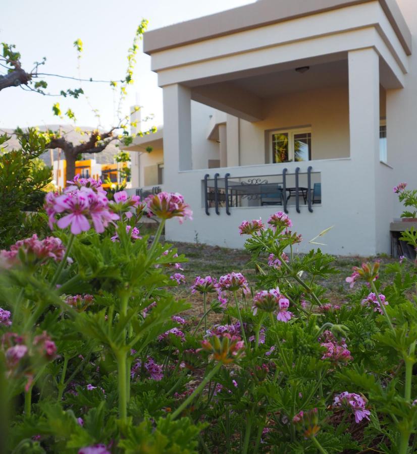 Olive House Villa Malia  Bagian luar foto