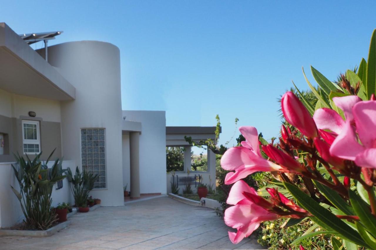 Olive House Villa Malia  Bagian luar foto